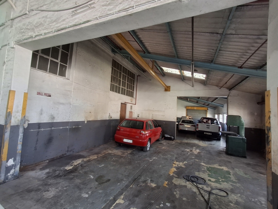 To Let Commercial Property for Rent in Arcadia Eastern Cape